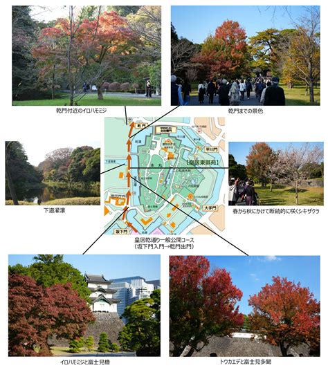 乾門|皇居乾通り 秋季一般公開